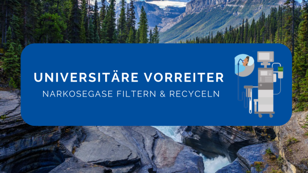 motiv-universitaere-vorreiter