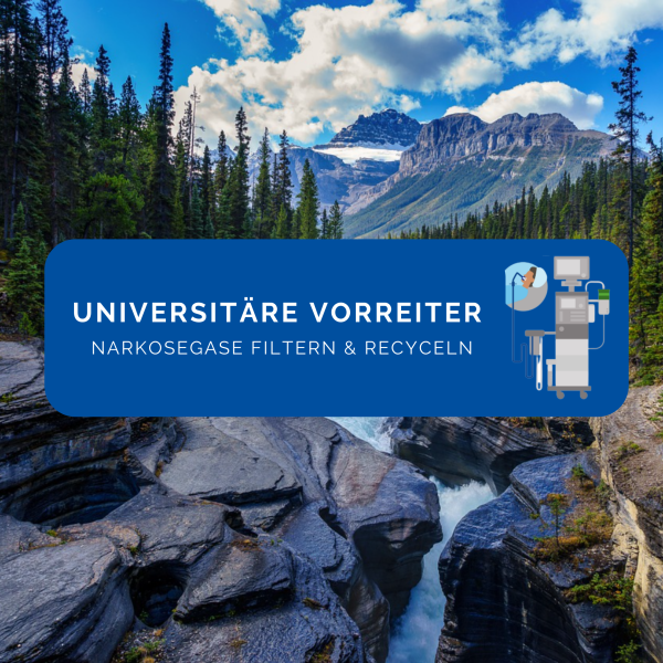 motiv-universitaere-vorreiter